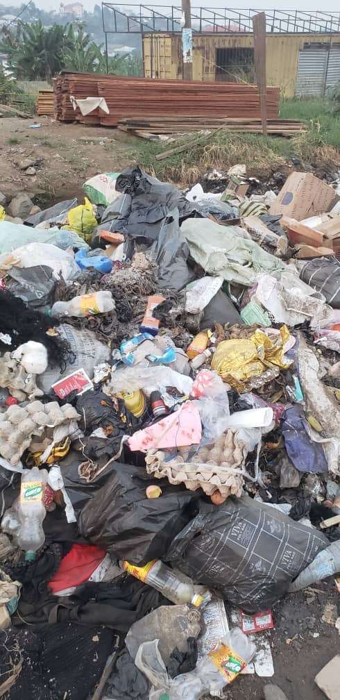 say-no-to-plastics_1752623837ueN8iE.jpeg