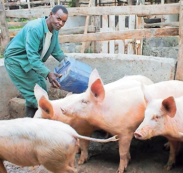 fephrad-story-of-agricultural-transformation_1752369077ziKCX3.png